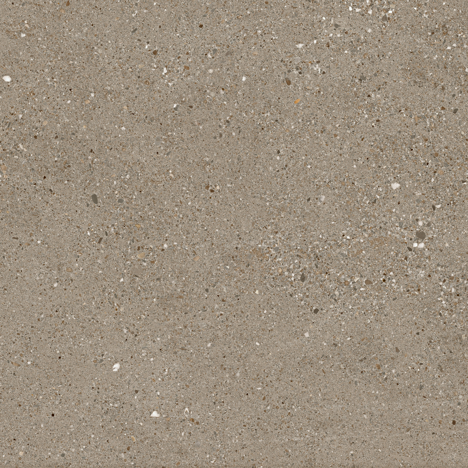 FRAMMENTI_TERRA_60X60_T8MOD_FC2