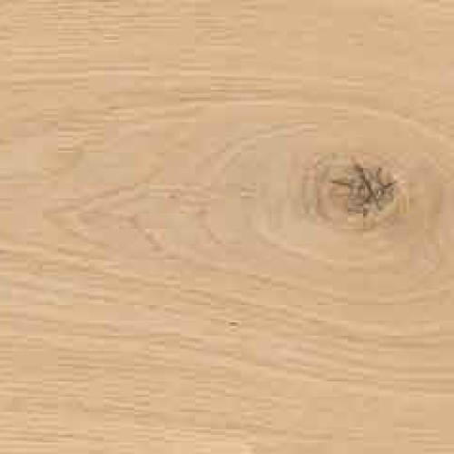 LA-SENTINELLE_MATISSE