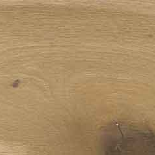 LA-SENTINELLE_RENOIR